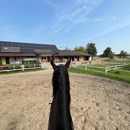 Zacisze * Jaskowice (Lesser Poland)